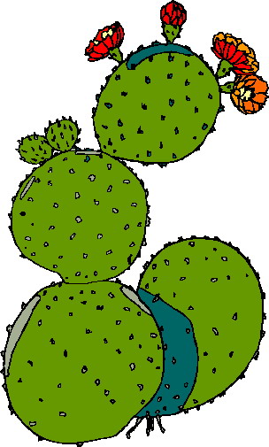 Clip Art   Cactus