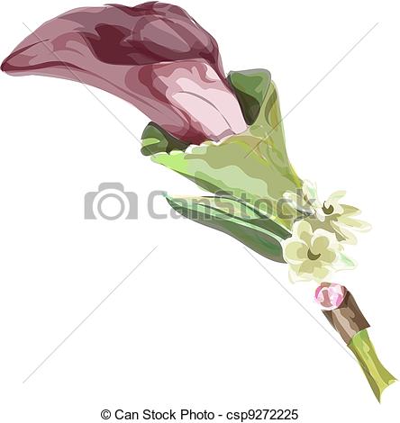 Clipart Vector Of Calla Burgundy Color Imitation Watercolor Vector    