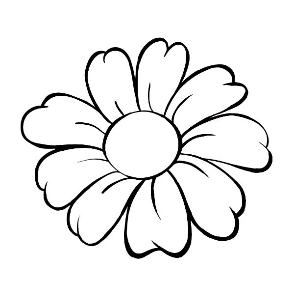 Daisy Flower Outline Coloring Page  Daisy Flower Outline Coloring