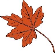 Maple Leaf Clip Art Maple Leaf Clip Art