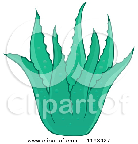     Of A Sun And Cactus Border   Royalty Free Vector Clipart By Bpearth