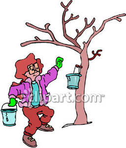 Syrup 20clipart   Clipart Panda   Free Clipart Images