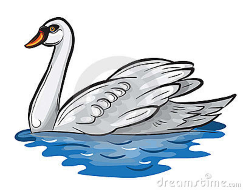 White Swan Swimming On A   Clipart Panda   Free Clipart Images