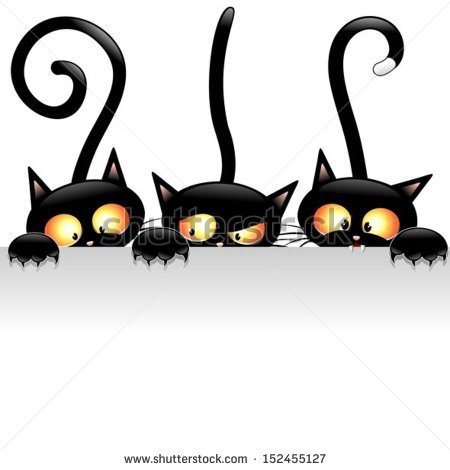 Funny Black Cats Cartoon With White Panel   Stock Vector
