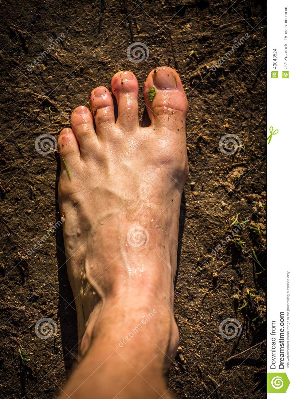 Male Bare Feet On The Way Stock Photo   Image  40043524