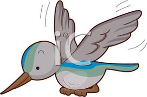Cute Hummingbird Flapping Its Wings   Royalty Free Clipart Picture
