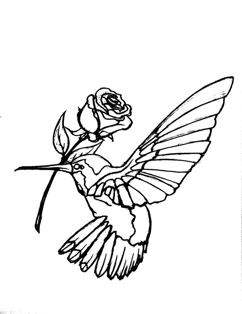 Hummingbird Tattoos Designs Ideas And Meaning   Tattoos For You