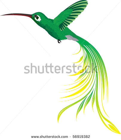 Stock Images Similar To Id 54830362   Vector Set Of Hummingbirds