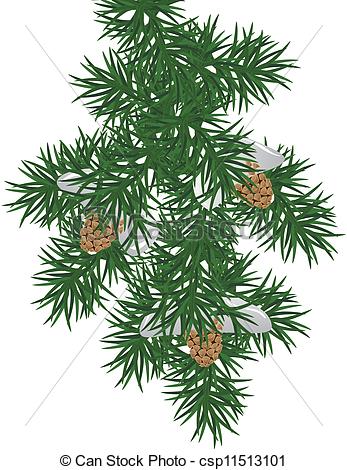 Vector Clipart Of Pine Branch   An Illustration Of A Snowy Pine Bough