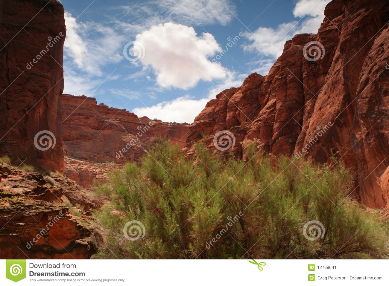 Blue Skies Over Red Sandstone Canyons In The Desert Of Southern Utah