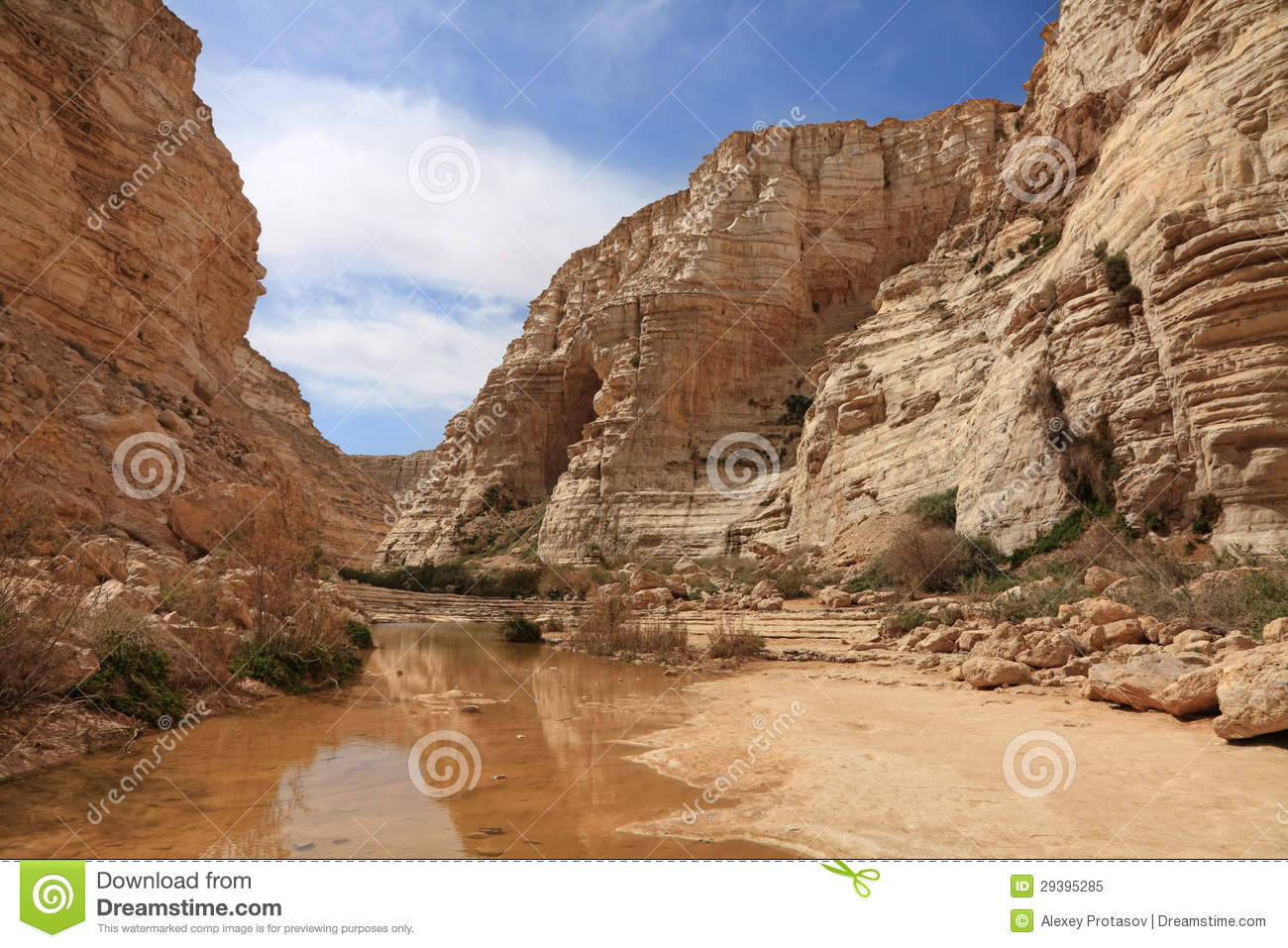 Canyon In Stony Desert Royalty Free Stock Photo   Image  29395285