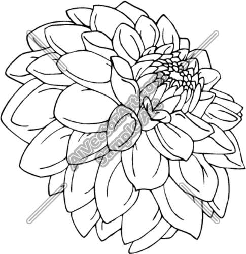 Dahlia Clipart And Vectorart  Misc Graphics   Flowers Vectorart And
