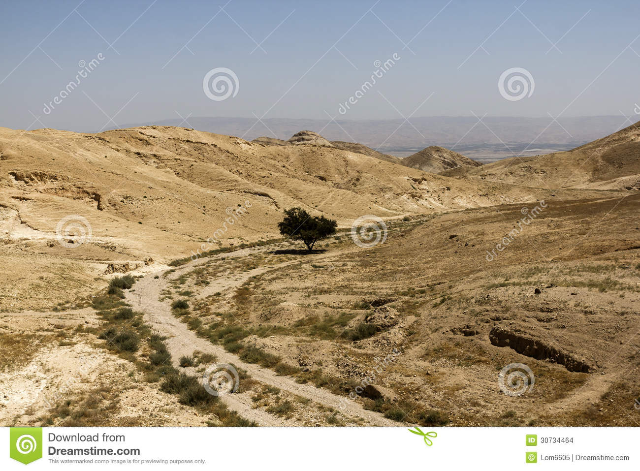 Desert Canyon Of Wadi Kelt Stock Images   Image  30734464
