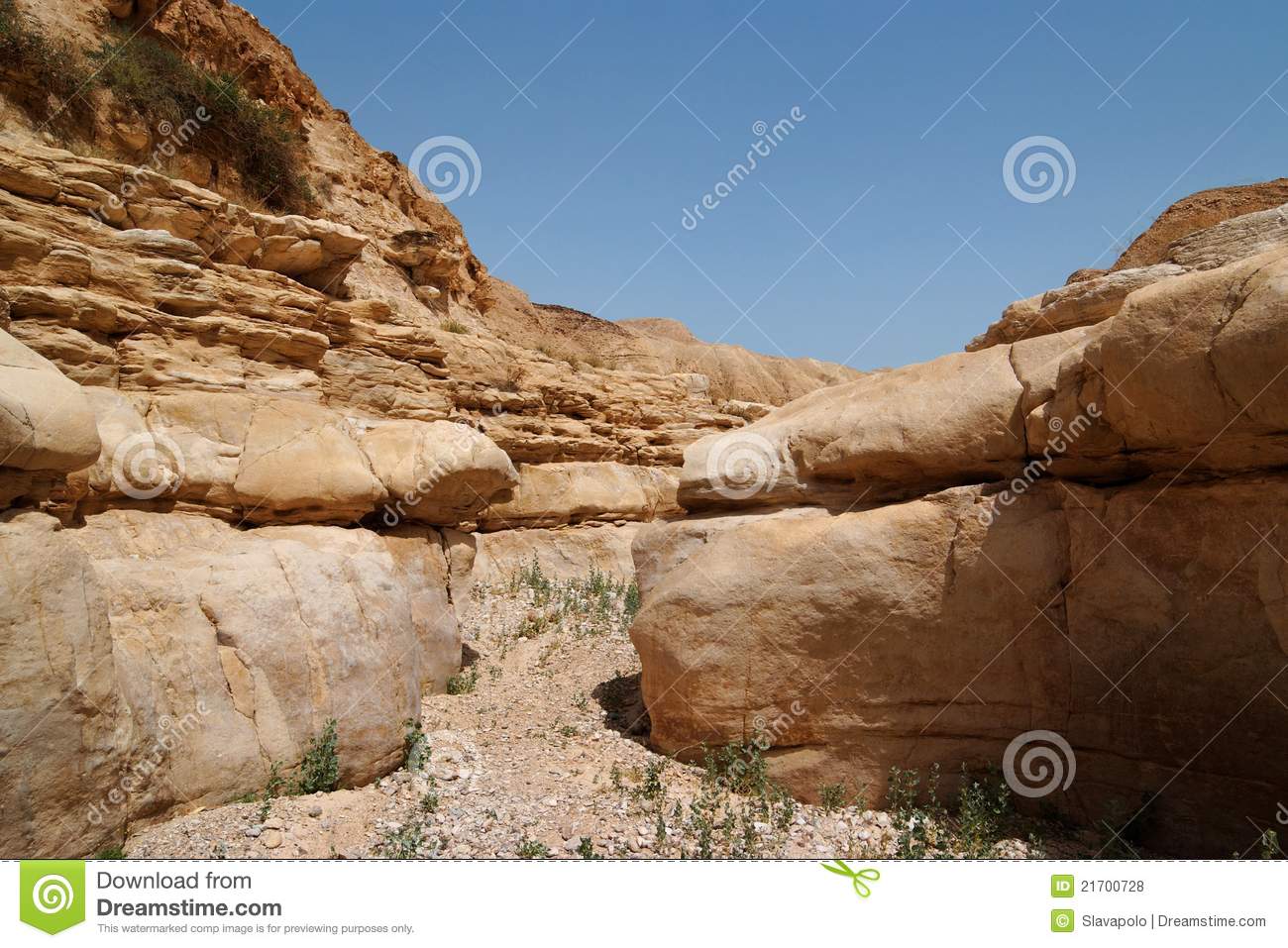 Desert Canyon Royalty Free Stock Photos   Image  21700728