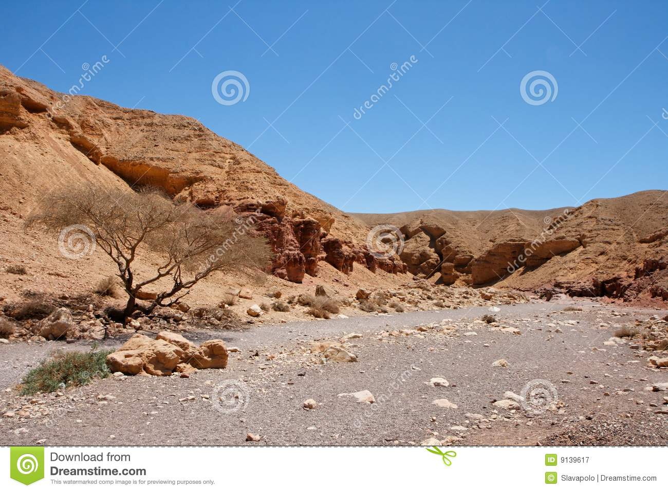 Desert Landscape In Red Canyon Royalty Free Stock Photography   Image