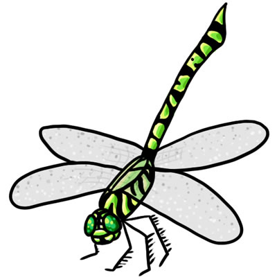 Free Dragonfly Clipart Cliparts Co