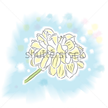 Hem   Premium   Natur   Enkel Ponpon Dahlia Blomma I Akvarell Stil P