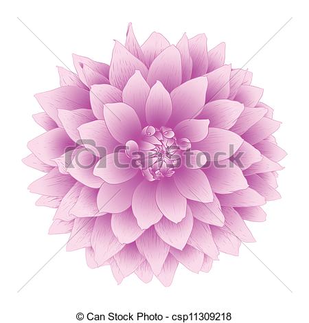 Purple Dahlia Clip Art Vector Dahlia Flower  Clipart