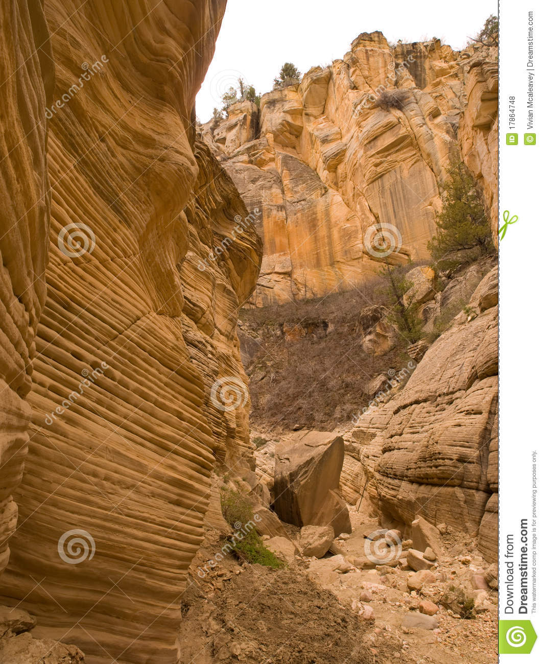 Royalty Free Stock Photos  Desert Canyon With Eroded Cliffs  Image