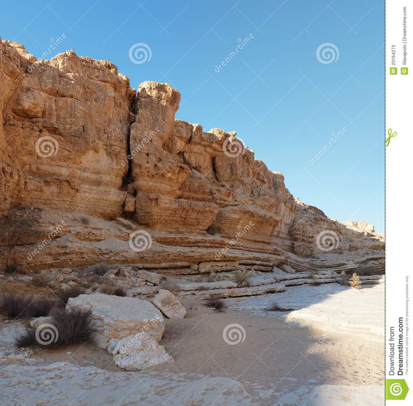 Wall Of Desert Canyon At Sunset Stock Photos   Image  23164273