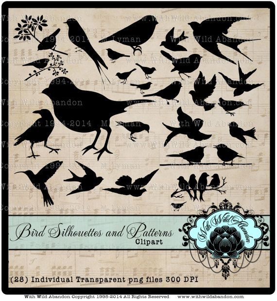 Bird Silhouette Clipart Bird Silhouette Clip Art Digital Stamp Dig
