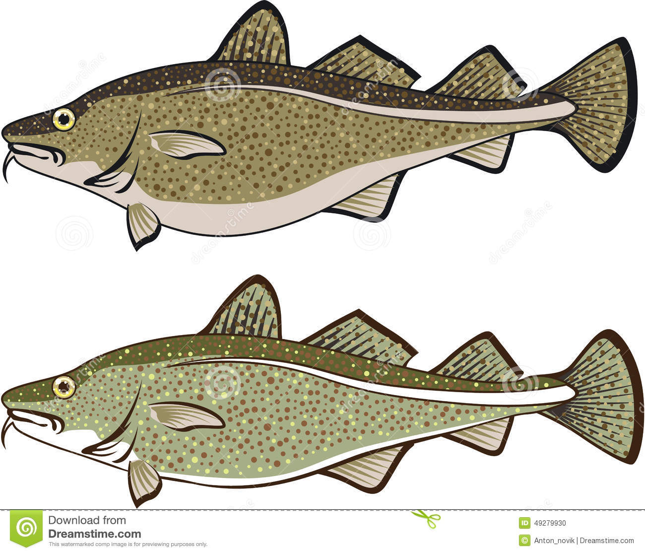 Cod Fish Illustration Clip Art Vector Eps File