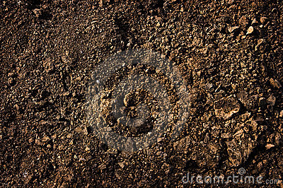 Dirt Texture Stock Images   Image  12611254