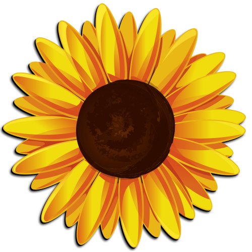 Sunflower Cartoon   Clipart Best