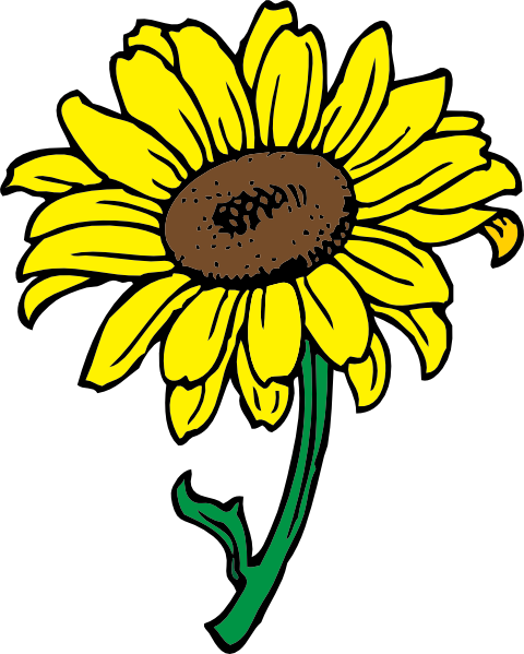 Sunflower Clip Art At Clker Com   Vector Clip Art Online Royalty Free