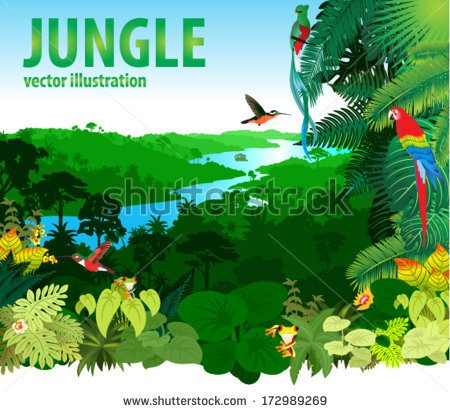 Vector Illustration River In Jungle Rainforest With Frog Toucan