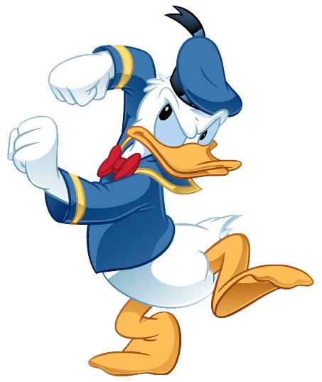 Donald Duck Disney Photo 450x400 Dcp Cpna013154
