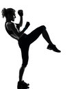 Kickboxing Clip Art Woman Kickboxing Posture Boxer