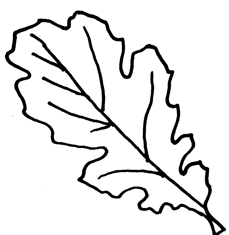 Oak Leaf Clipart Black And White   Clipart Panda   Free Clipart Images