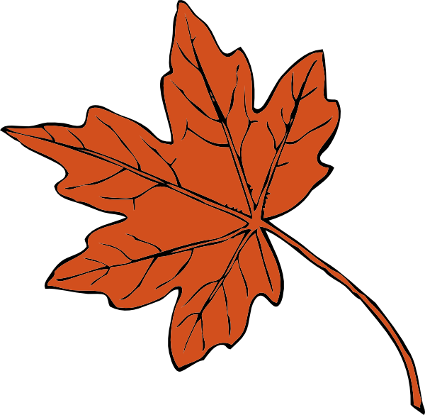 Picture Of An Oak Leaf Free Cliparts That You Can Download To You