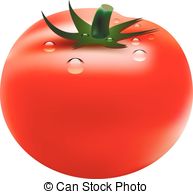 Plant Vector And Illustration 1453 Tomato Clipart