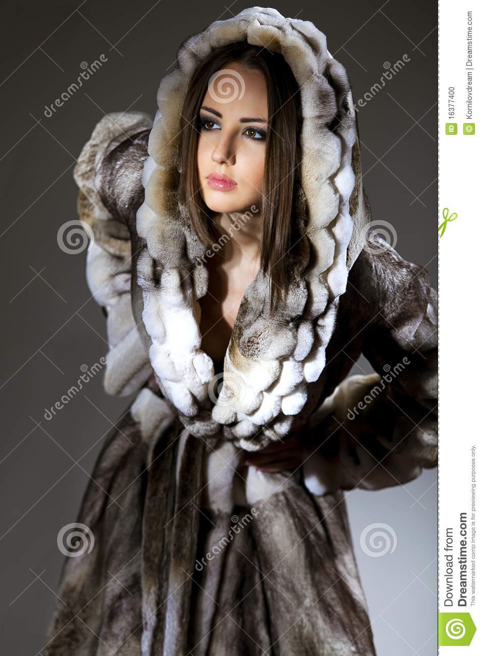Woman In Fur Coat Stock Photo   Image  16377400