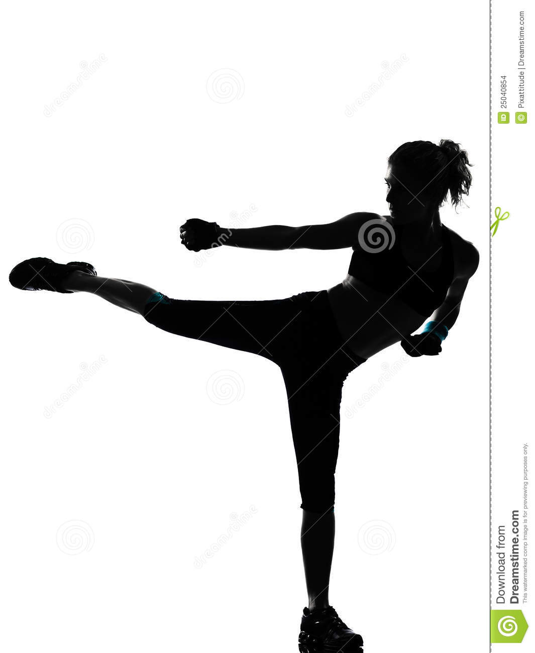 Woman Kickboxing Posture Boxer Boxing Stock Images   Image  25040854