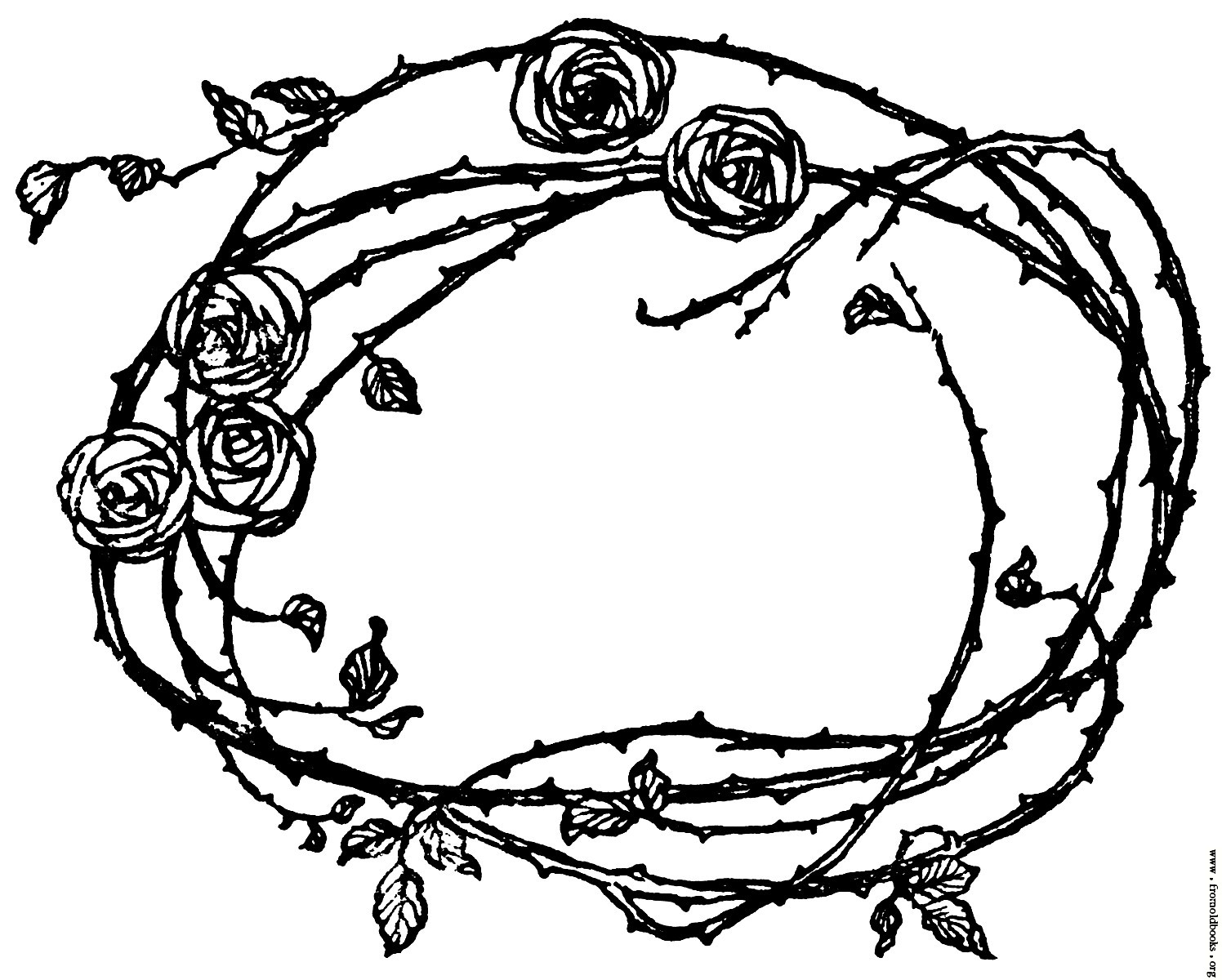 Border Of Roses And Thorns Details