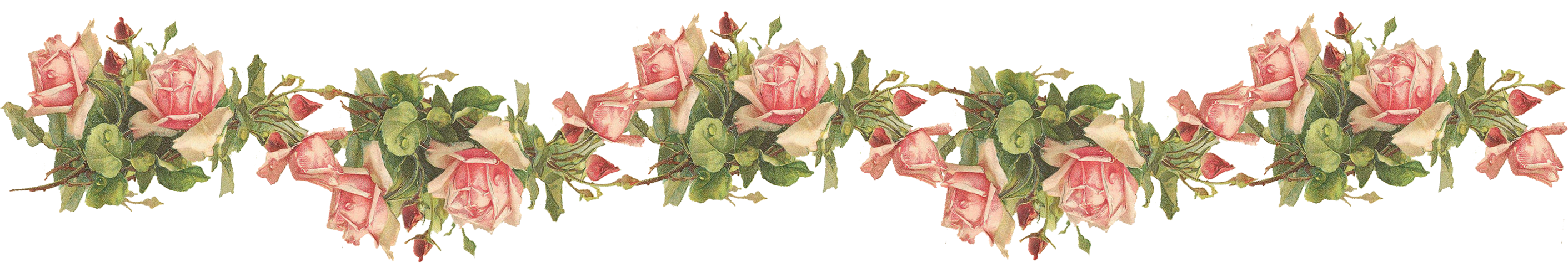 Catherine Klein  Pink Roses Digital Elements   Wings Of Whimsy