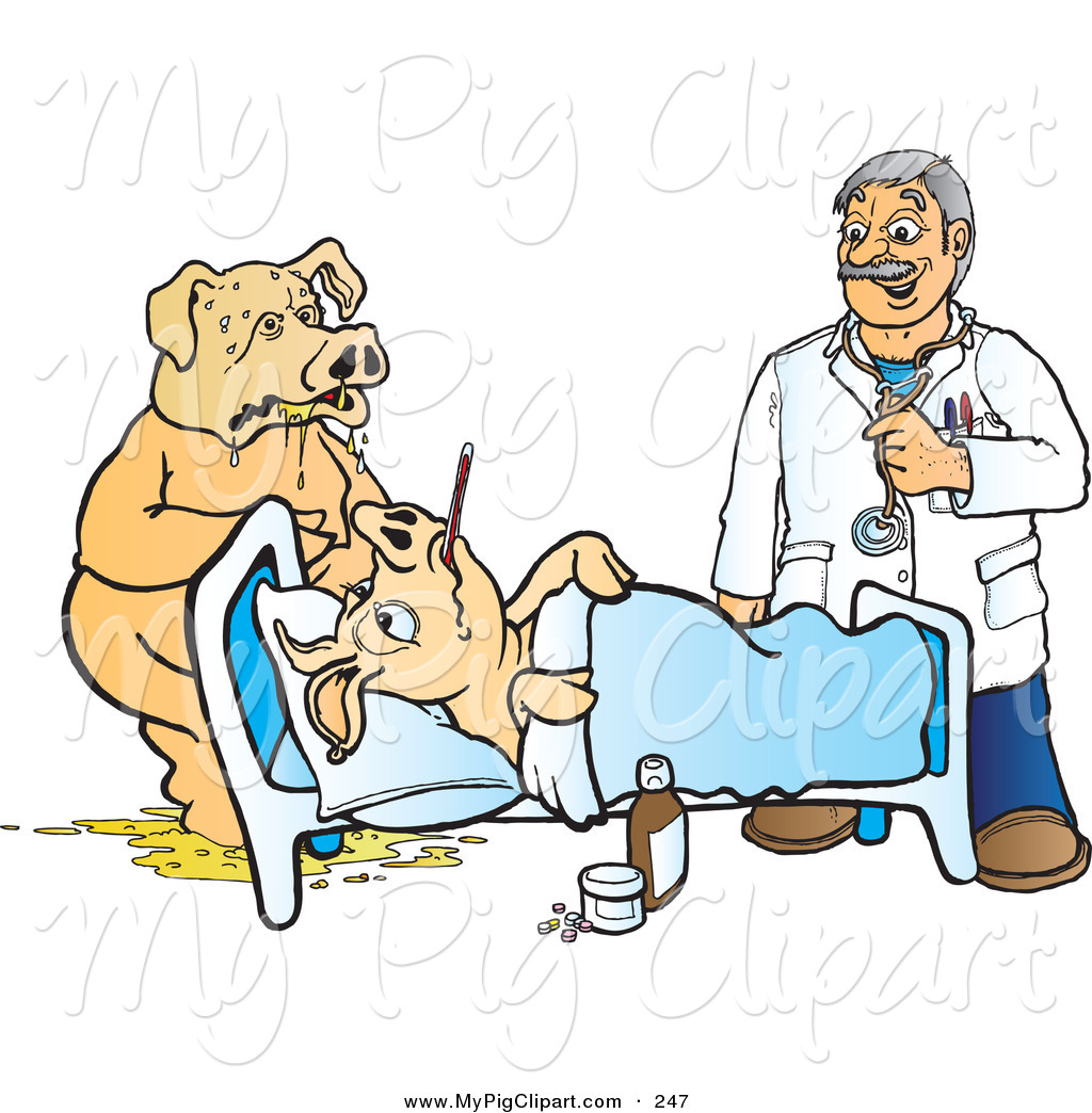     Clipart Of A White Doctor Watching A Pig Puke By Another Sick Pig