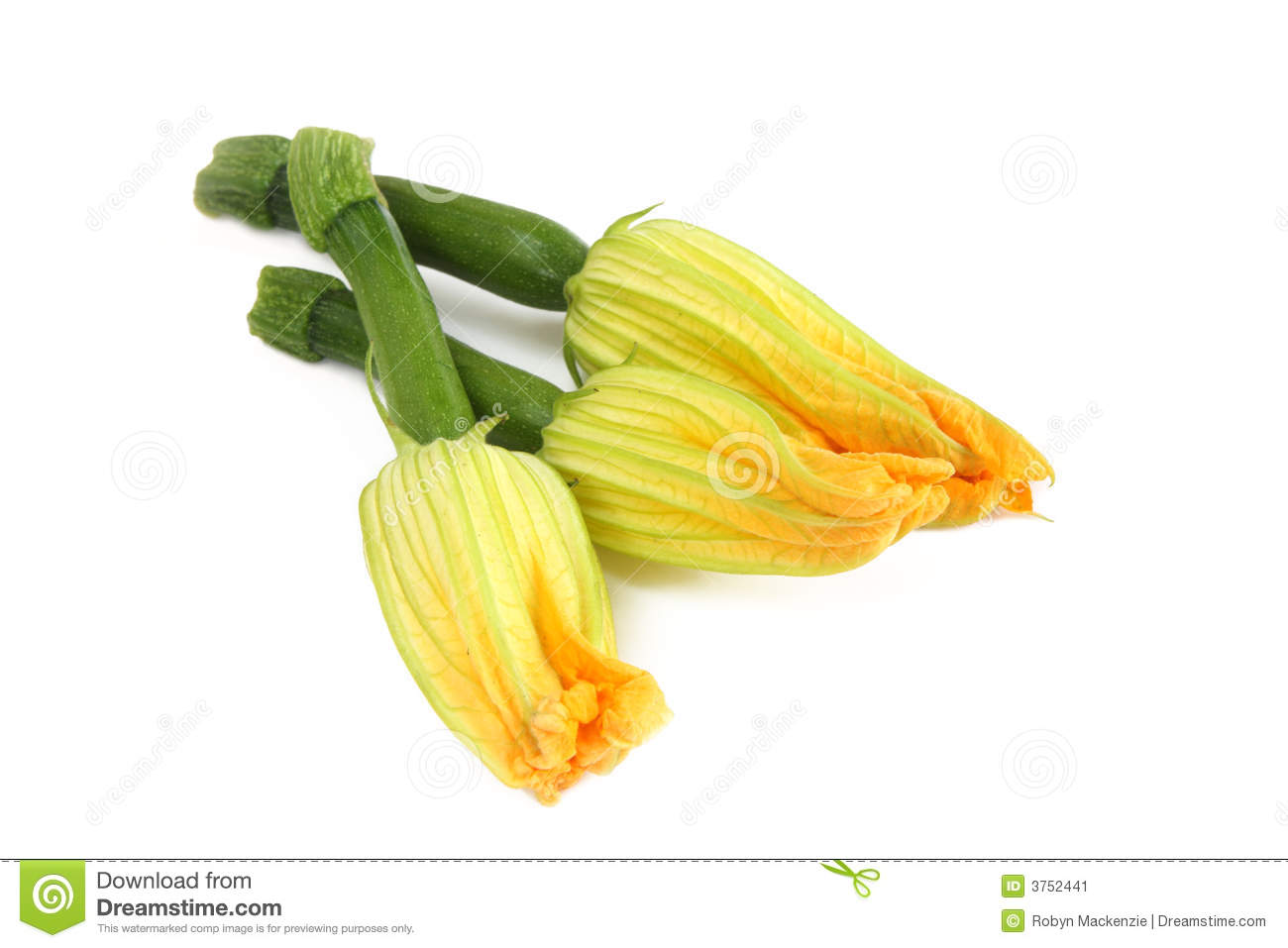 Courgette Or Zucchini Flowers  Edible Flowers With Immature Vegetable