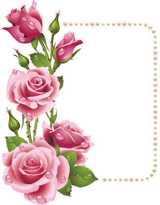 Fleurs Printemps Cadre Roses   Encadrement Roses D Cos