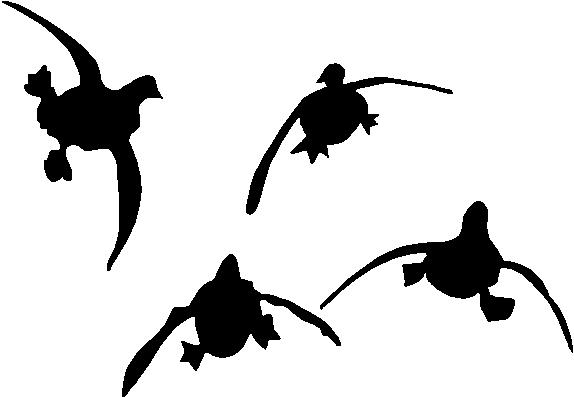 Flying Duck Silhouette Pictures Picture Clipart   Free Clip Art Images