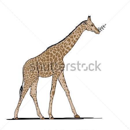 Funny Giraffe Clipartfunny Rogue Zfunny Anesthesia Jokesfunny