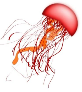Red Jellyfish Clip Art At Clker Com   Vector Clip Art Online Royalty