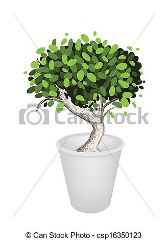 An Illustration Of Beautiful Bonsai Tree Or Small Plant In A Flowerpot