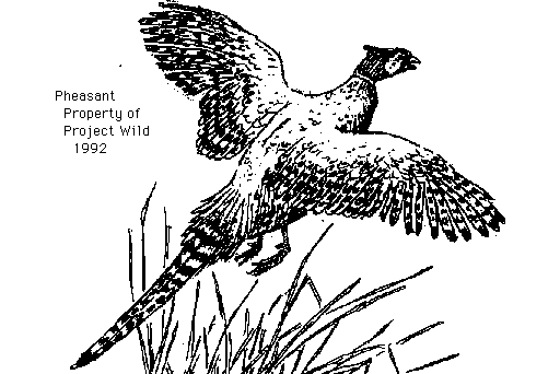 Birds Of North Dakota Clipart