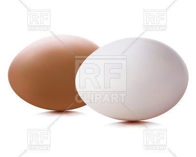     Brown And White Eggs Download Royalty Free Vector Clipart  Eps