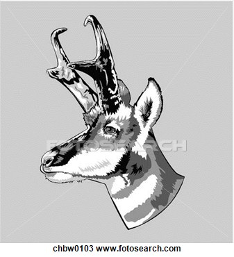 Clipart   Wild Game  Fotosearch   Search Clipart Illustration Posters