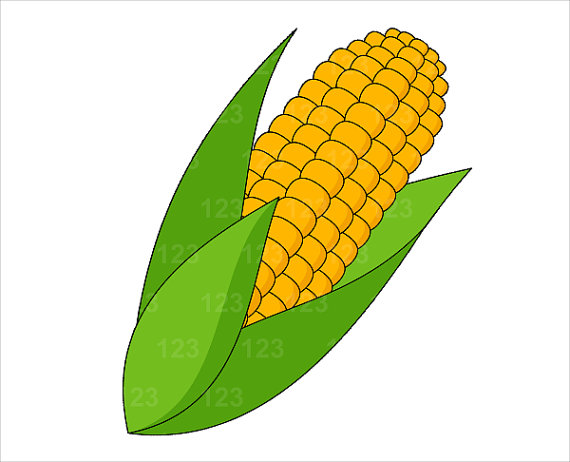 Corn Crops Clipart Vegetable Sweet Corn Single